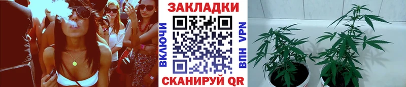 Наркошоп купить Псилоцибиновые грибы Бошки Шишки APVP МЕФ COCAIN ГАШ Кувшиново