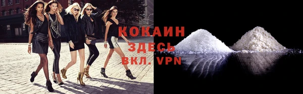 мдпв Костерёво