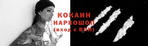 стаф Коряжма