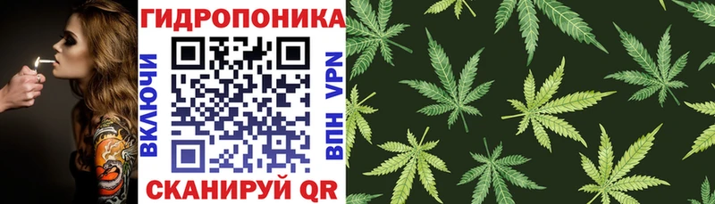 Конопля Bruce Banner  Купить где  Кувшиново 